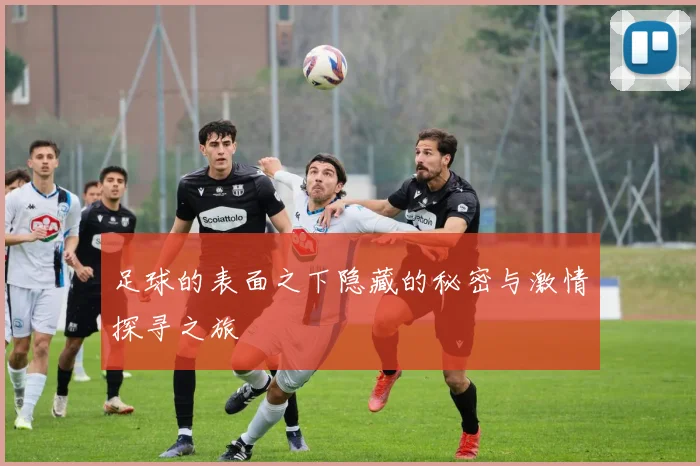 足球的表面之下隐藏的秘密与激情探寻之旅